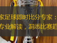 大贏家足球即時(shí)比分專家：為您提供專業(yè)解讀，洞悉比賽趨勢(shì)